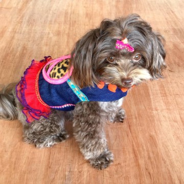 4 doggy style gypsy ibiza hondenjasje hondenkleding by dazzling gypsy queen at www styletrash nl bailey